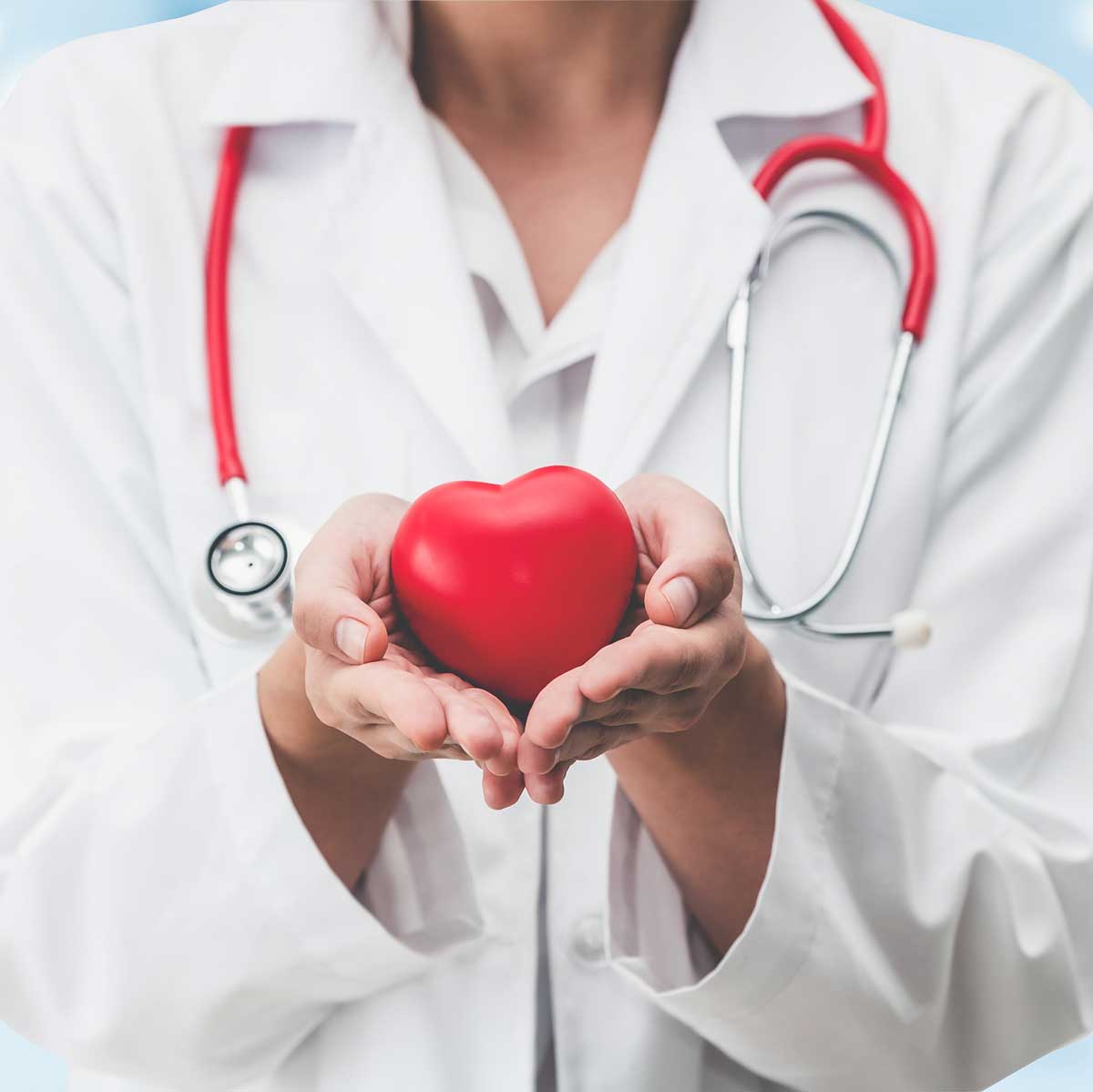 Doctor holding a red heart at hospital office.